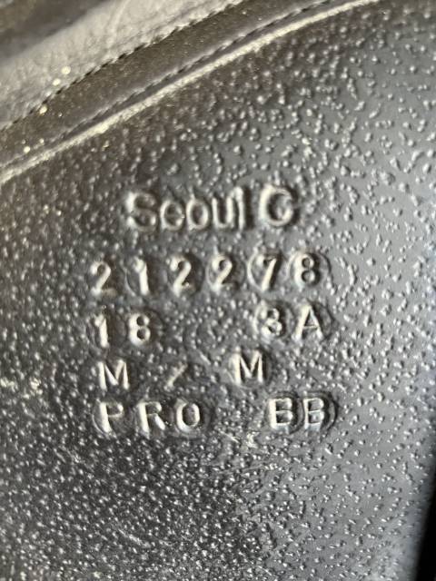 Selle S&eacute;oul forestier 
