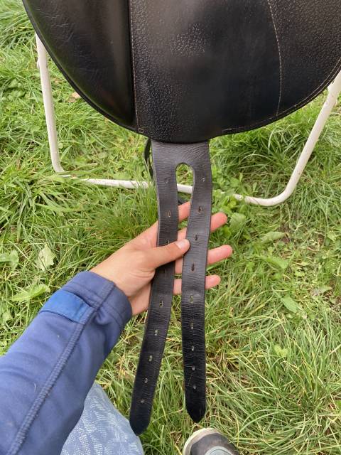 Selle forestier dressage 17