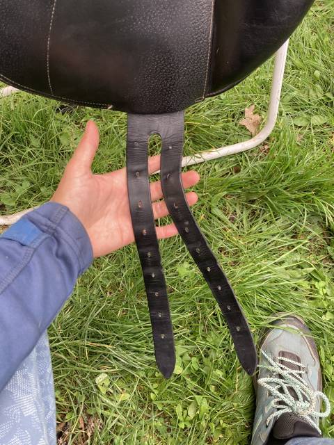 Selle forestier dressage 17