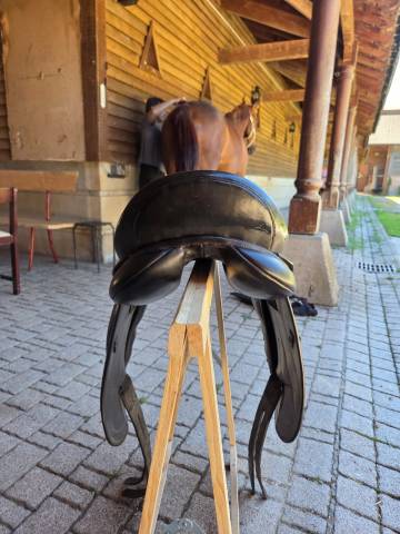Selle dressage Eric Thomas