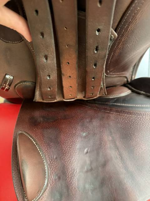 Selle GBS mod&egrave;le CSS 17,5 chocolat