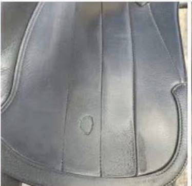 Selle de dressage Equipe