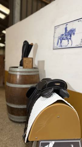 Selle zaldi San Jorge 
