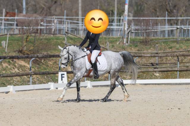 Psf d 8ans polyvalent
