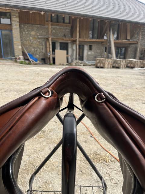 Selle Renaissance Prestige 