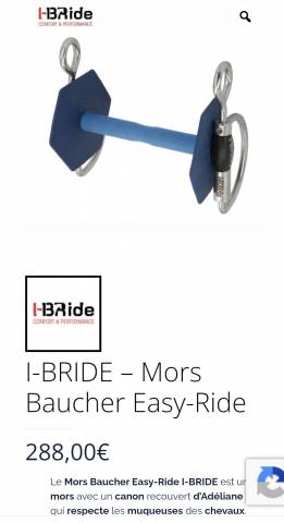 Mors Baucher i-bride 