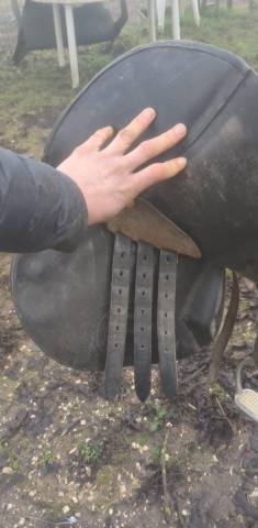 SELLE TERRYS 17.5p