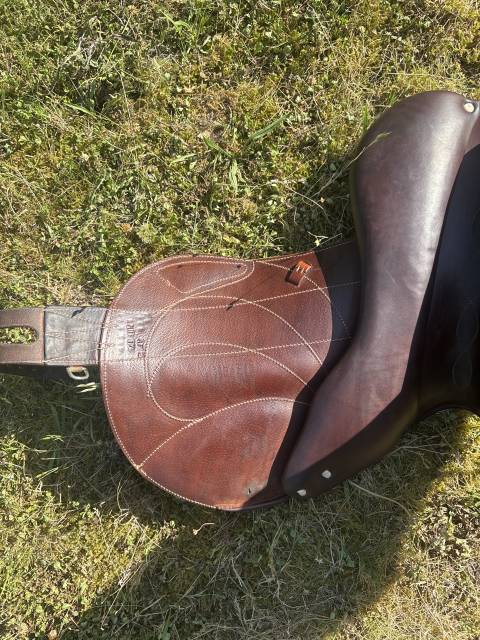 Selle Antar&egrave;s Veau Monoquartier Connexion 17,5 &eacute;quip&eacute;e