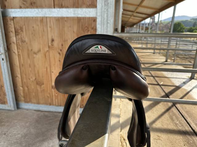 Selle equiline 