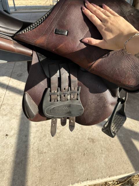 Selle equiline 