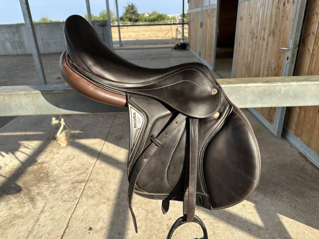 Selle equiline 
