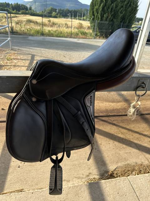Selle equiline 