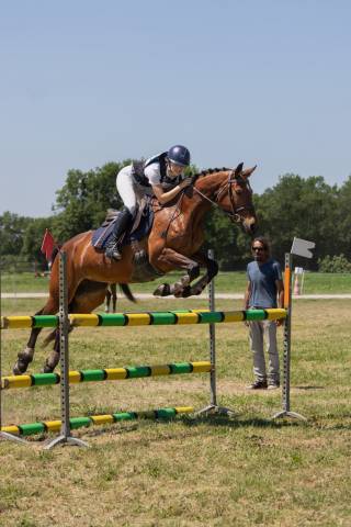 Jument connemara 10 ans. sport