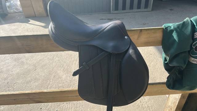 Selle forestier S&eacute;oul 2025