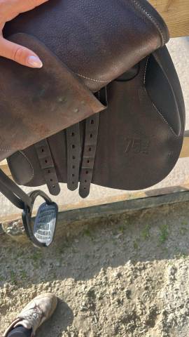 Selle forestier S&eacute;oul 2025