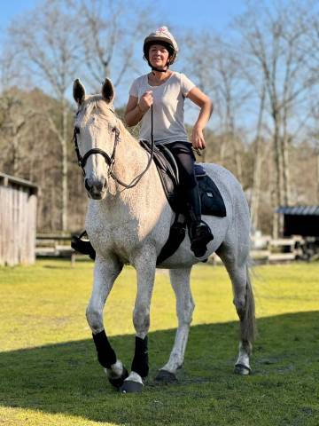 Ancien cheval de grand prix – retraite active