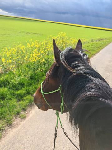 Lunderthaker adorable trotteur de 5ans