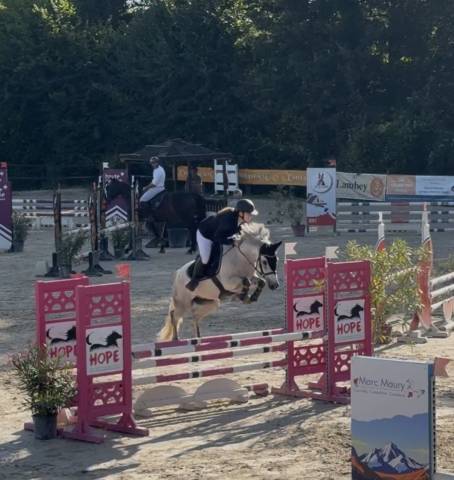 Poney de sport 6 ans 