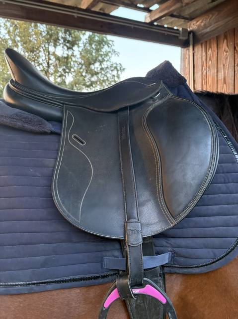 selle mixte 