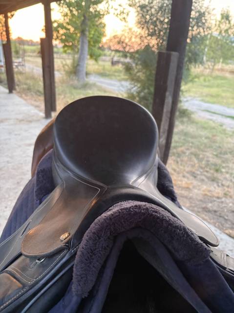 selle mixte 