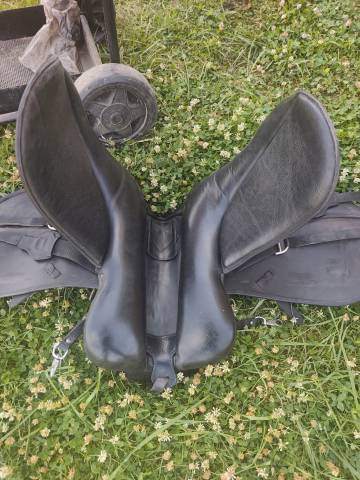 Selle islandaise joy