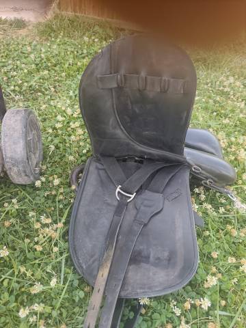 Selle islandaise joy