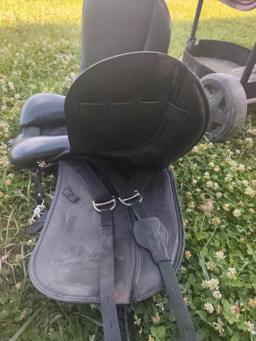 Selle islandaise joy