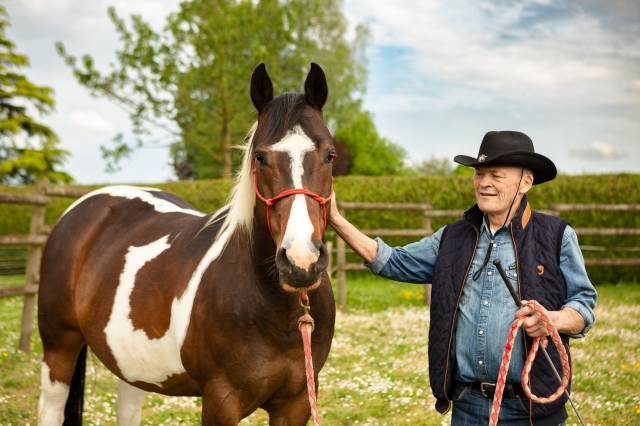 Jument paint horse