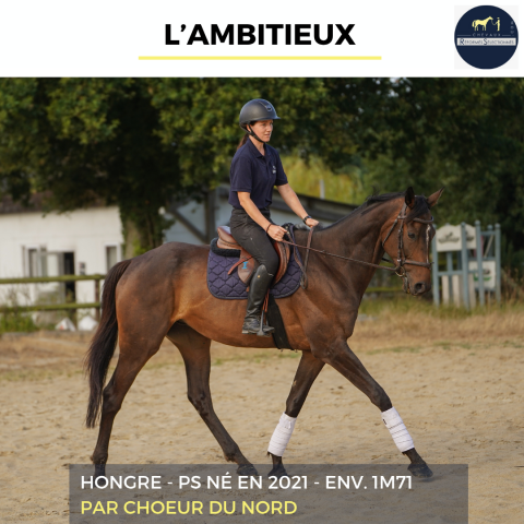 L'ambitieux - ps - 5 ans 