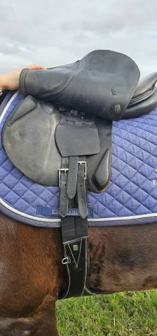 Selle brunet pineau