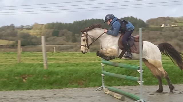 Ponette pfs c de 6 ans