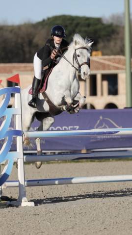 Poney à louer 
