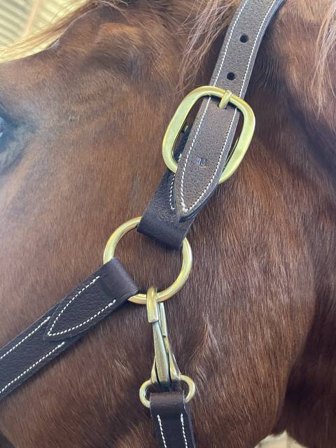 licol en cuir devoucoux neuf 