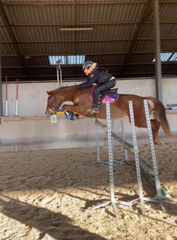 A vendre  ponette c  imahee des cosses 