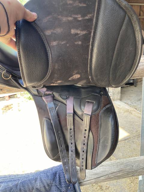 Selle mixte 17