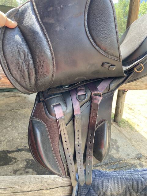 Selle mixte 17