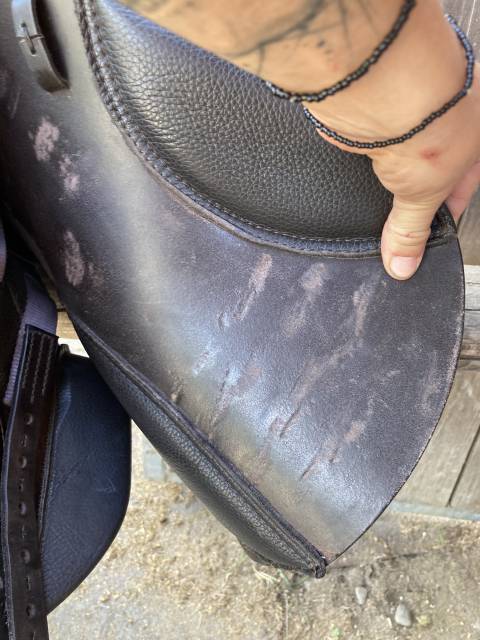 Selle mixte 17