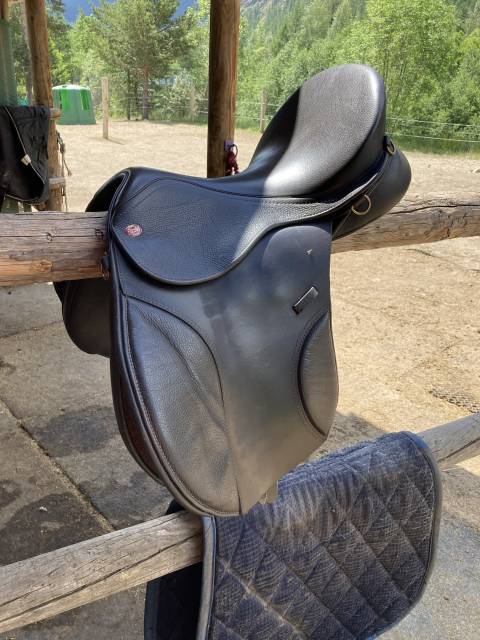 Selle mixte 17