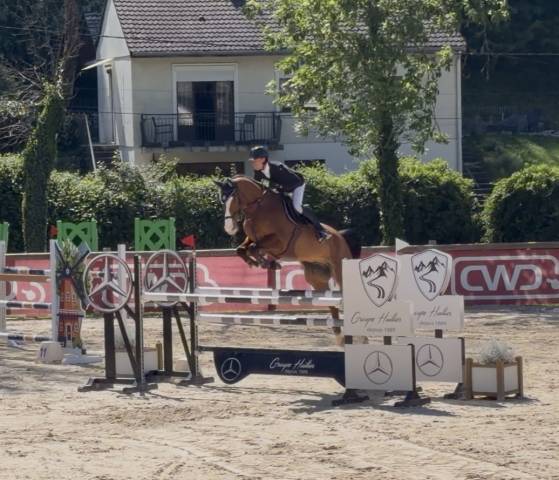 Jackpot de sisse hongre 7 ans