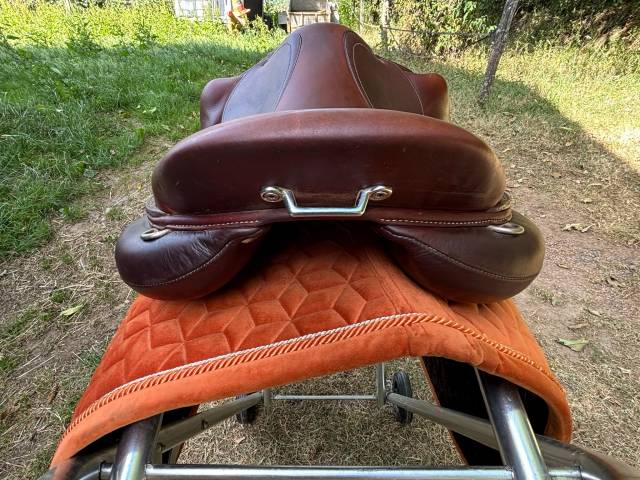 Selle Antares Monoquartier Connexion 17,5 veau Marron