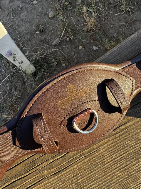 Sangle Kentucky 55 cm &ndash; Neuve avec &eacute;tiquette
