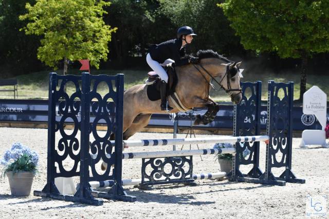 Jument welsh d classée cce p2/p1 et cso