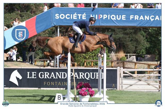 Jexica du parc top 7 selle francais mare scope 145 150