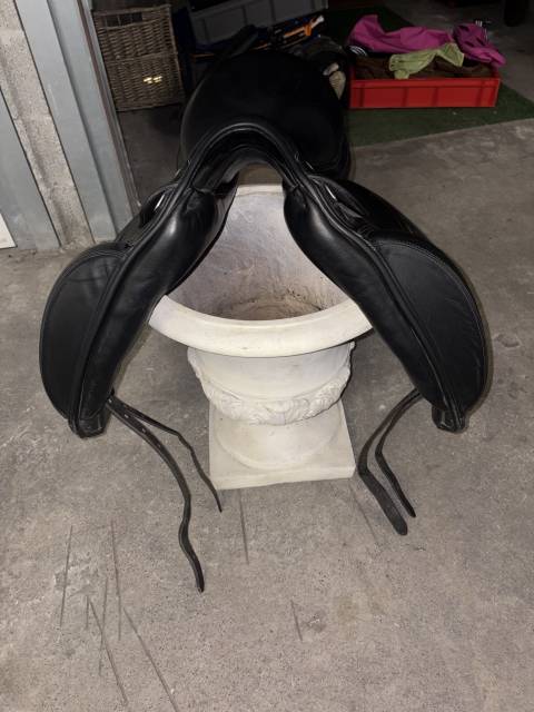 Selle de dressage 