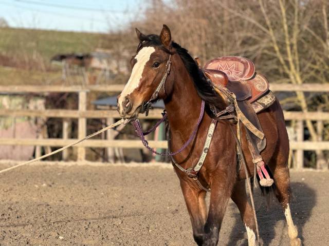 Paint-hors plein papier 