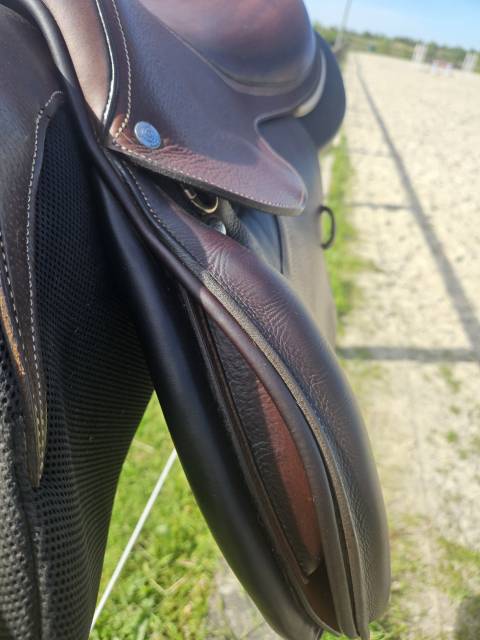 Selle Forestier Seoul 17