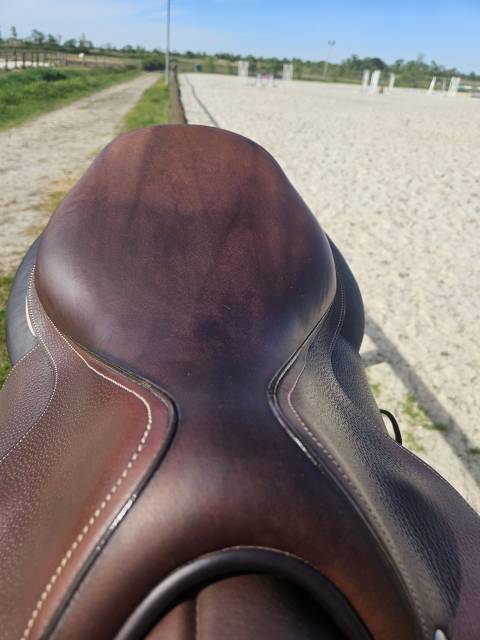 Selle Forestier Seoul 17