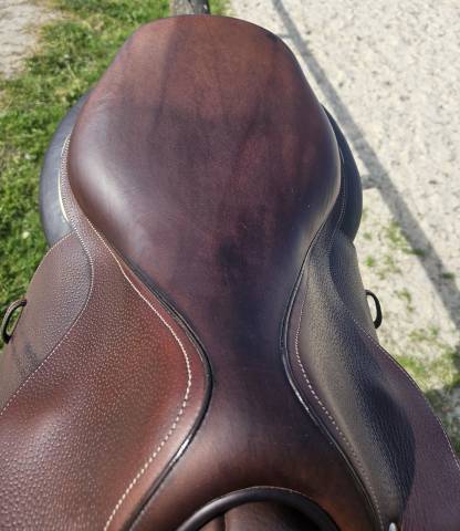 Selle Forestier Seoul 17