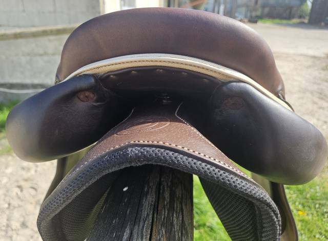 Selle Forestier Seoul 17