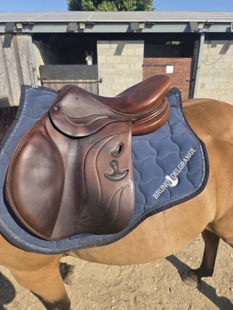 Selle 16.5 bruno Delgrange